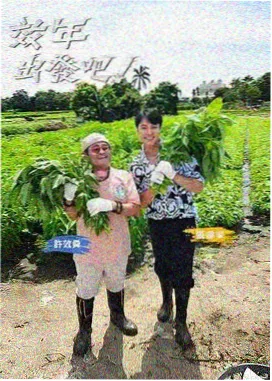 沉默的港口 高清电影在线观看